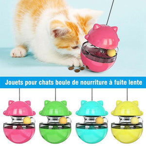 Mangeoire Interactive pour Chat Jouet pour Animal Domestique Multifonctionnel